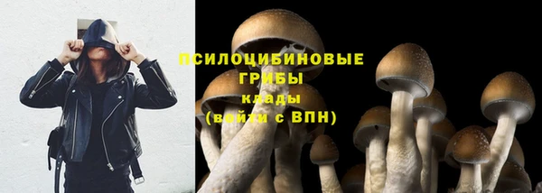гидра Видное