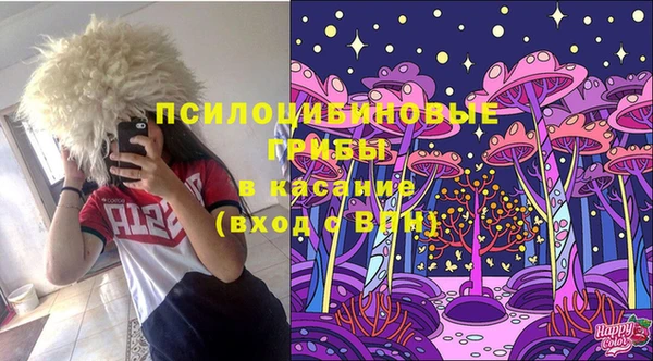 гидра Видное