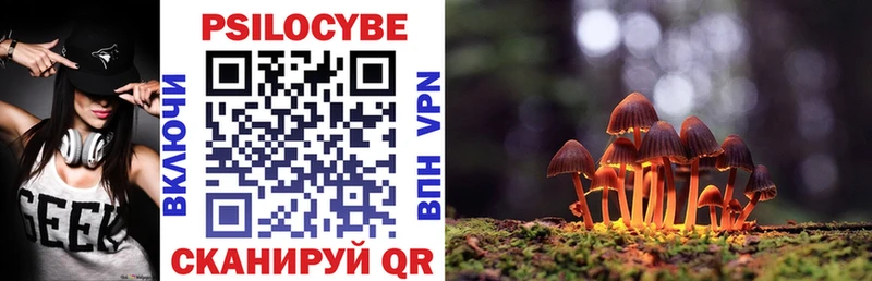 Псилоцибиновые грибы прущие грибы  Тбилисская 